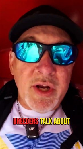 Filipino Fighting Cocks: Athletes or Pets?