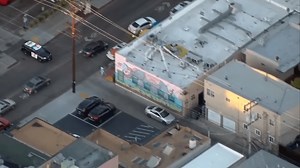 WATCH: Pursuit Suspect Tackled by San Diego Police After Ditching Car