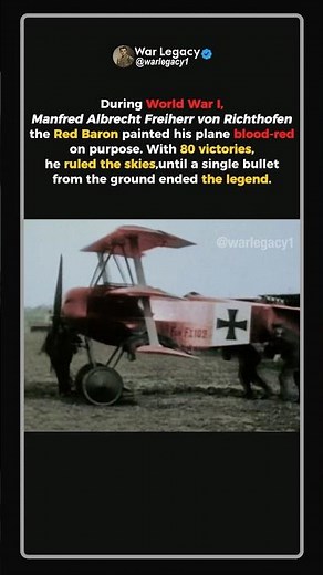 The Red Baron: Killed by One Bullet #ww1 #shorts