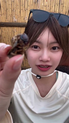 ししゃもみたいな味#昆虫 #海外旅行#昆虫食 #いもむし