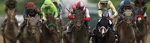 Preakness Stakes Odds | Horses, Post Position, Betting Info