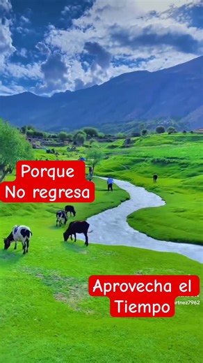 El tiempo pasa #reflexion