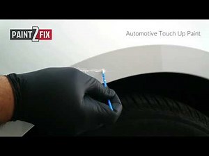 Paint2Fix Car Touch Up Paint
