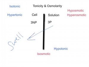 Tonicity & Osmolarity