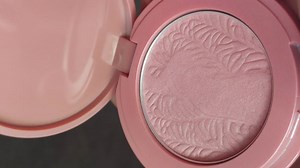 Cosmetics, Blush, Brush
