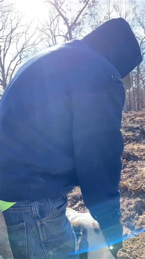 33K views · 907 reactions | #rangerrick has a story for just about everything! #skunk ##animals##concrete##concretelife##ranger##rick##funny##comedyvideo##comedy | Mike Gilgan | Facebook