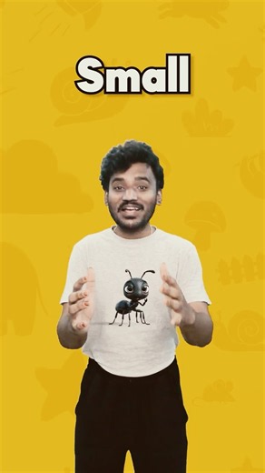 This Is Big Big Big! | Big, Small, Tall, Short, Fast & Slow | Opposite Words for Kids