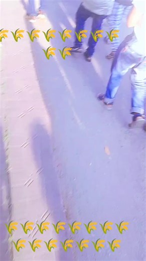 basid Ali (@ahmedbasid4)’s videos with original sound - basid Ali