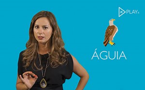 Que tipo de comunicador é: Águia, papagaio, pomba ou mocho?