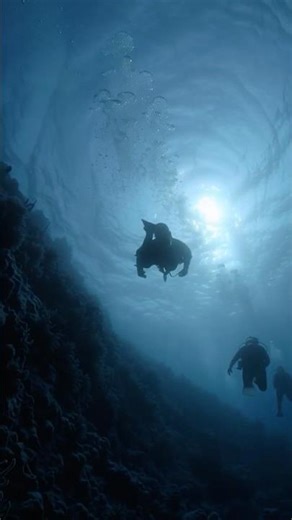 Divers Discover a 3-Mile Long Precision-Cut Wall on the Ocean Floor
