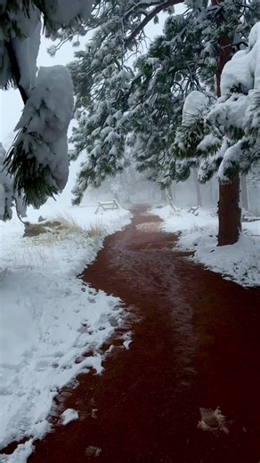Exploring a Snow-Covered Winter Landscape
