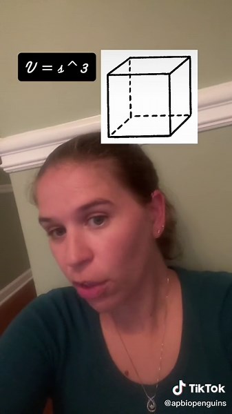 Surface Area to Volume Ratio Explained for Cubes