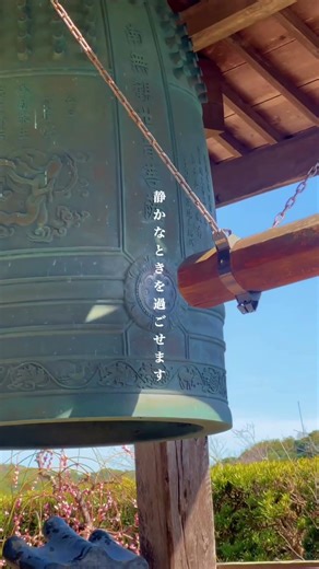 智蔵寺 #千葉 #房総半島 #南房総 #智蔵寺 #南房総観光