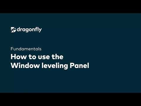 Dragonfly Fundamentals | How to use window leveling panel 1