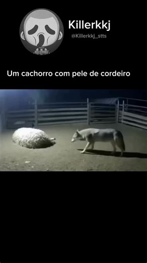 Killerkkj Stts on Instagram: "Kkkkkkkkkkkkkkkkkk . . . . . . #meme #fy #memes #reels #humor #fyyyyyyyyyyyyyyyyyyyyyyyyyyyyyyyyyyyyyyyyyyyyyyyyyyyyyyyyyyyyyyyyyyyyyyyyyyyyyyyyyyyyyyyyyyyyyyyyy #foryou #foryou #viral #fyp #reelsinstagram"