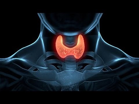 Thyroid and anti-TPO and Thyroglobulin antibodies