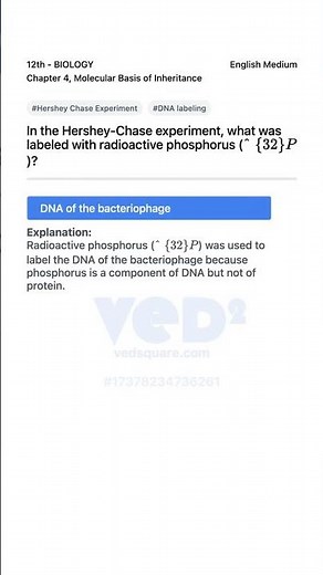 Hershey Chase Experiment DNA Labeling Explained