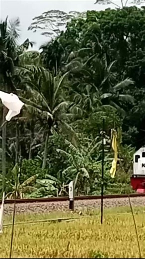 trains that travel around Central Java every day #railway #train #indoneianrailway | Syabil Aryasatya