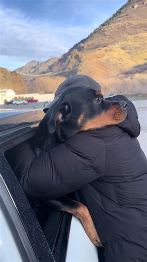 Heartwarming Moments with Grandma and Rottweilers