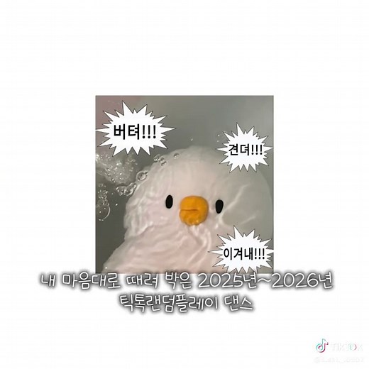 2025~2026 틱톡 랜덤 플레이 댄스 챌린지