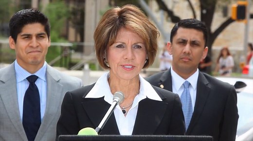 What Professional City, Town, and County Managers Do