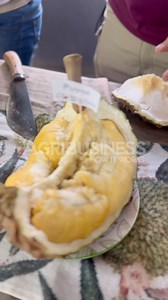 19K views · 176 reactions | Durian tasting at Belviz Farms! Full episode on Agribusiness How It Works YouTube Channel. | Agribusiness | Facebook