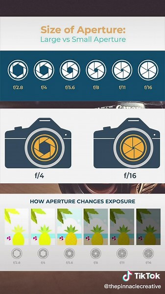 Photography101 tips #photography #learningisfun #nightshots