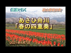 Go by train! Asahifunagawa "Spring Quartet" (Asahi-machi, Toyama Prefecture,Japan)