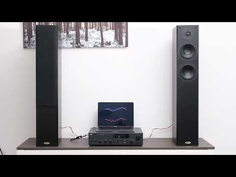 79. Tannoy R2 Speaker Demo