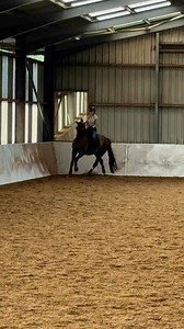 Super morning with Orange Horse Consultants this morning. Now to convince the powers that be to allow bitless 🤣 | Olivia Oakeley Dressage & Fitness