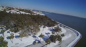 28K views · 369 reactions | CHARLESTON SNOW You are looking at a...