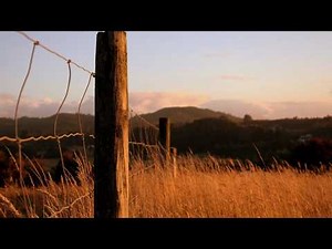 Final Fantasy VII: Last Order - Dear Friend