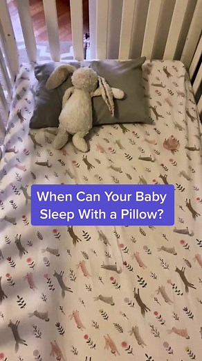 What to Expect on TikTok