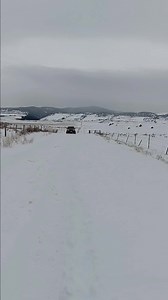 Here He Comes | Crazy Bear Productions