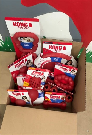 Top KONG Toys for Dogs: Ultimate Chew Fun