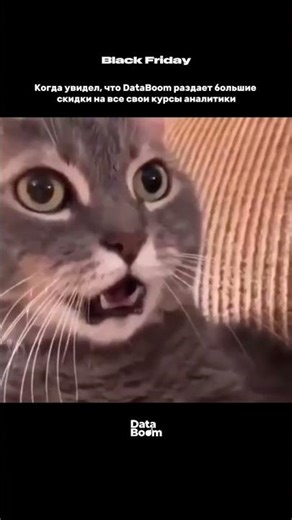 Изучите Excel, Power BI, SQL, Python, Azure за МАКСИМАЛЬНО НИЗКИЕ ЦЕНЫ 🔥