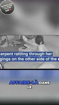 A python in the... living room?! 😳🐍 #python