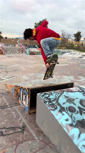 Nike SB Dunks fav shoe to skate in #skateboarding #fyp #nike #sk8 | skate shoes