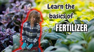 Beginner’s Guide to Fertilizing Your Outdoor Plants & Flowers