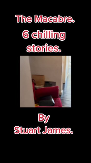 The Macabre by Stuart James. #fyp #foryou #foryoupage #viral #booktok #book #books #thrillerbooklover #thrillerbooktok #thrillerbooks #thrillerbookrec #thrillerbookrecs