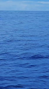 Orcas y Ballenas En Las Costas Del Jobo Guanacaste Costa Rica 🇨🇷 Instagram:https://instagram.com/videos_y_fotoscr?igshid=YmMyMTA2M2Y= Pagina Facebook:https://www.facebook.com/ViajesCostaRica1?mibextid=ZbWKwL Twitter: https://twitter.com/aleja84cr1 TikTok : https://vm.tiktok.com/ZMdTRh7hp/ #miradores #mirador #viajes #alajuela #sanjose #heredia #mirador #viajes #alajuela #sanjose #heredia #viajes #paisajes | Costa Rica Pura Vida