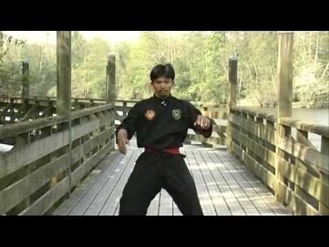 Pencak Silat - Techniques de Combat
