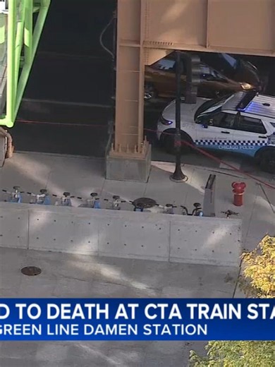 A man was fatally stabbed Thursday at a CTA station on the city's Near West Side, Chicago police said. #chicagonews #chicago #news