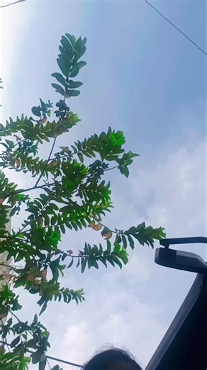 ఓ మై గాడ్... #1m #poetrygirl143 #likes #love