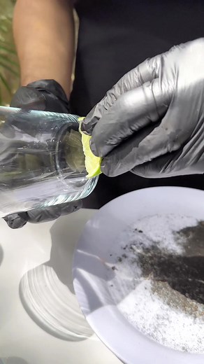 95 reactions | New drinks at El Lucero! Try our new mezcalitas. ¡Nuevas bebidas en El Lucero! Prueba nuestras nuevas mezcalitas.  Reserva | Book a table: WhatsApp (999) 924 8099 | https://wa.me/5219999248099. ⏰ Domingo a jueves | Sunday to Thursday: 12:00 p.m. - 10:00 p.m. ⏰ Viernes y sábado | Friday and Saturday: 12:00 p.m. - 12:00 a.m.  https://goo.gl/maps/jPTQXrpQM9gGm7n7A | El Lucero del Alba | Facebook