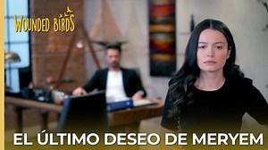 El último deseo de Meryem | #OmerSuenosRobados(Yaralı Kuşlar) Capítulo 161 | Omer Suenos Robados