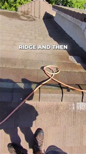 Soft Wash System: The Final Step for Lichen & Moss Treatment 💧