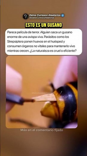 Sí, Esto es Un Gusano #curiosidades #misterios