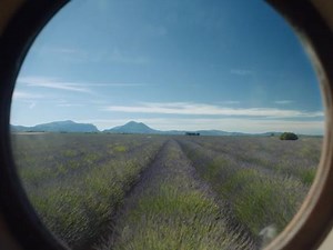 Allianz: Allianz with you from A to Z • Ads of the World™ | Part of The Clio Network