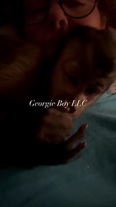 4.8K views · 629 reactions | Nash is having tummy issues tonight 冷 #upsetstomach #happythursday #goodnight #Nash #prayers #monkey | Georgie Boy the Monkey | Facebook